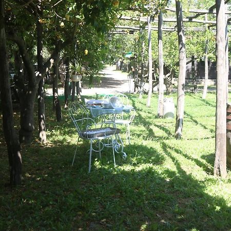 Emy'S Country House Castellammare di Stabia Exterior foto