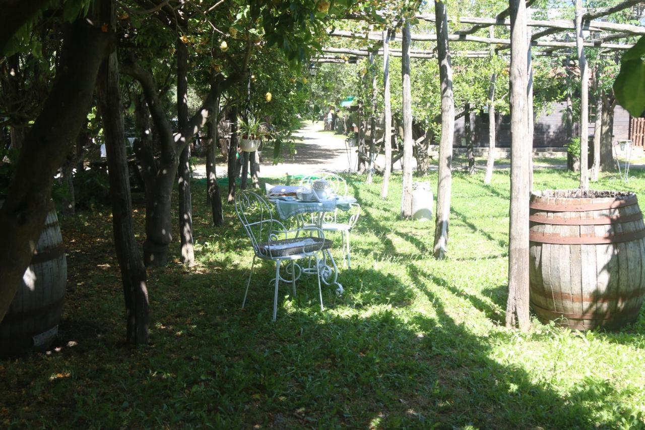 Emy'S Country House Castellammare di Stabia Exterior foto