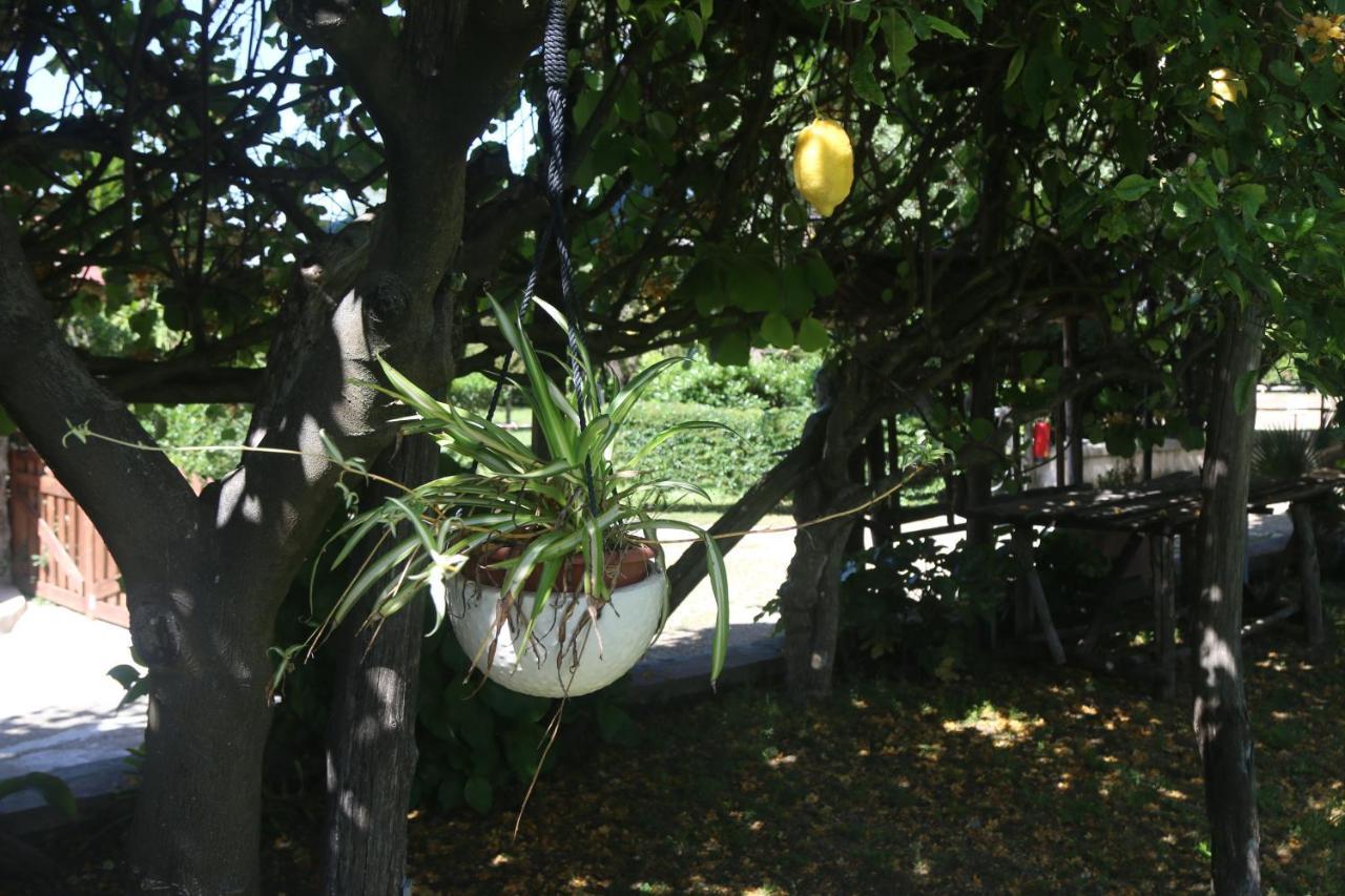 Emy'S Country House Castellammare di Stabia Exterior foto