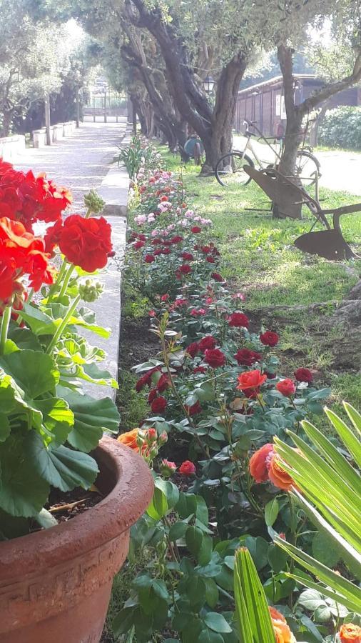 Emy'S Country House Castellammare di Stabia Exterior foto